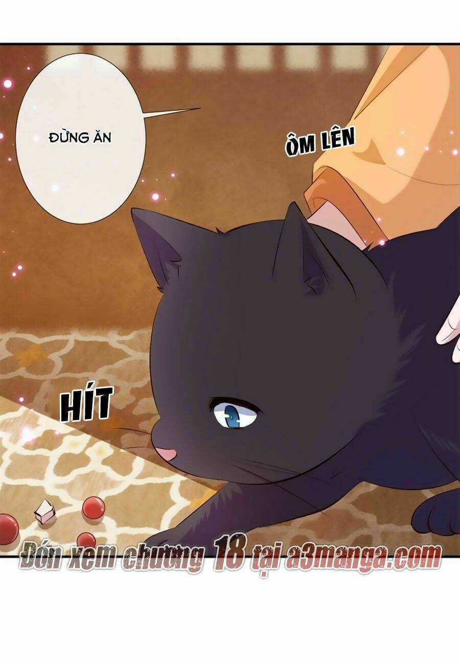 Tuyệt Thế Thần Y: Phúc Hắc Đại Tiểu Thư Chapter 17 trang 30