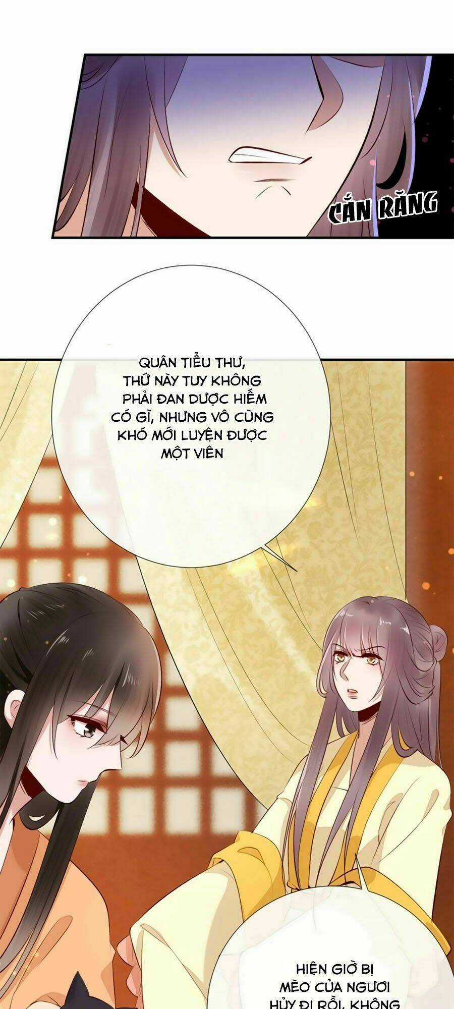 Tuyệt Thế Thần Y: Phúc Hắc Đại Tiểu Thư Chapter 17 trang 34