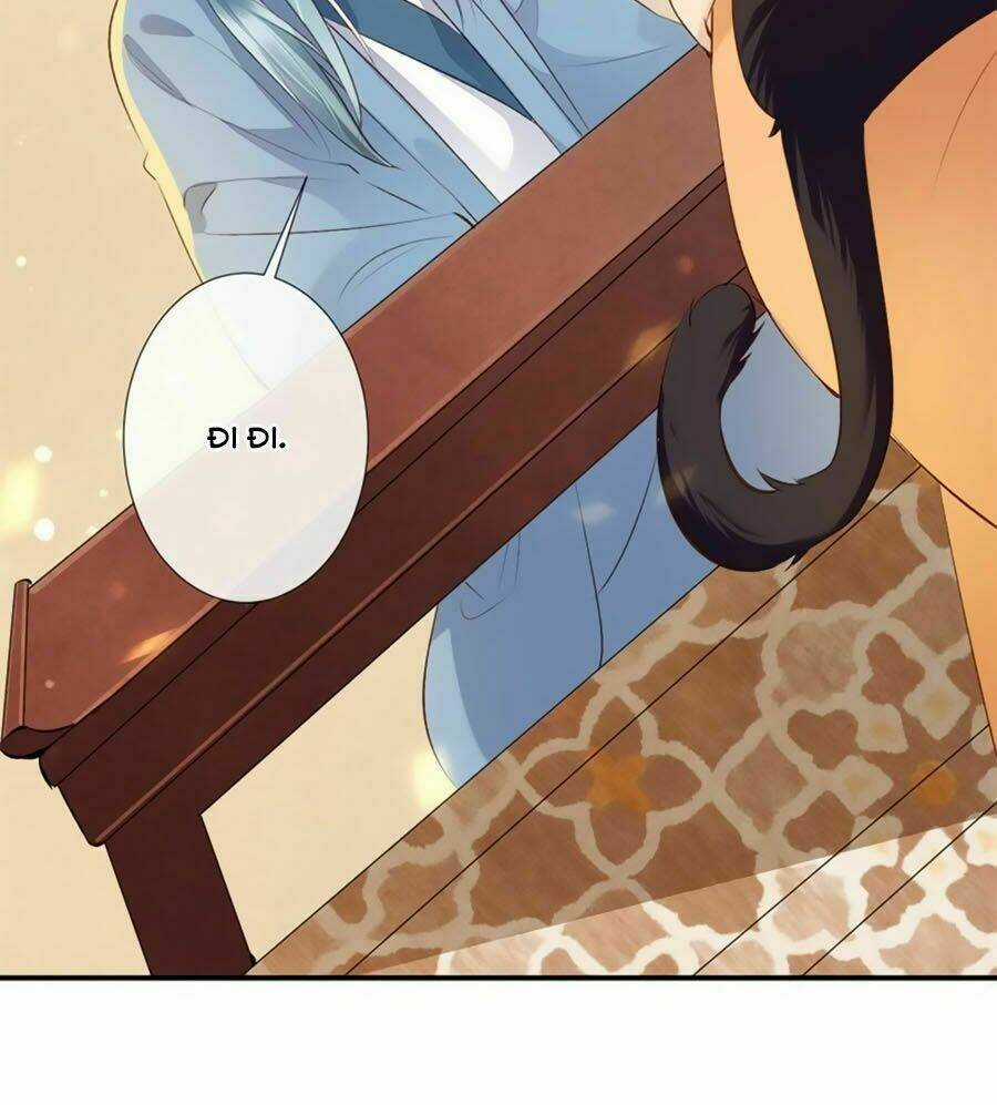 Tuyệt Thế Thần Y: Phúc Hắc Đại Tiểu Thư Chapter 17 trang 46
