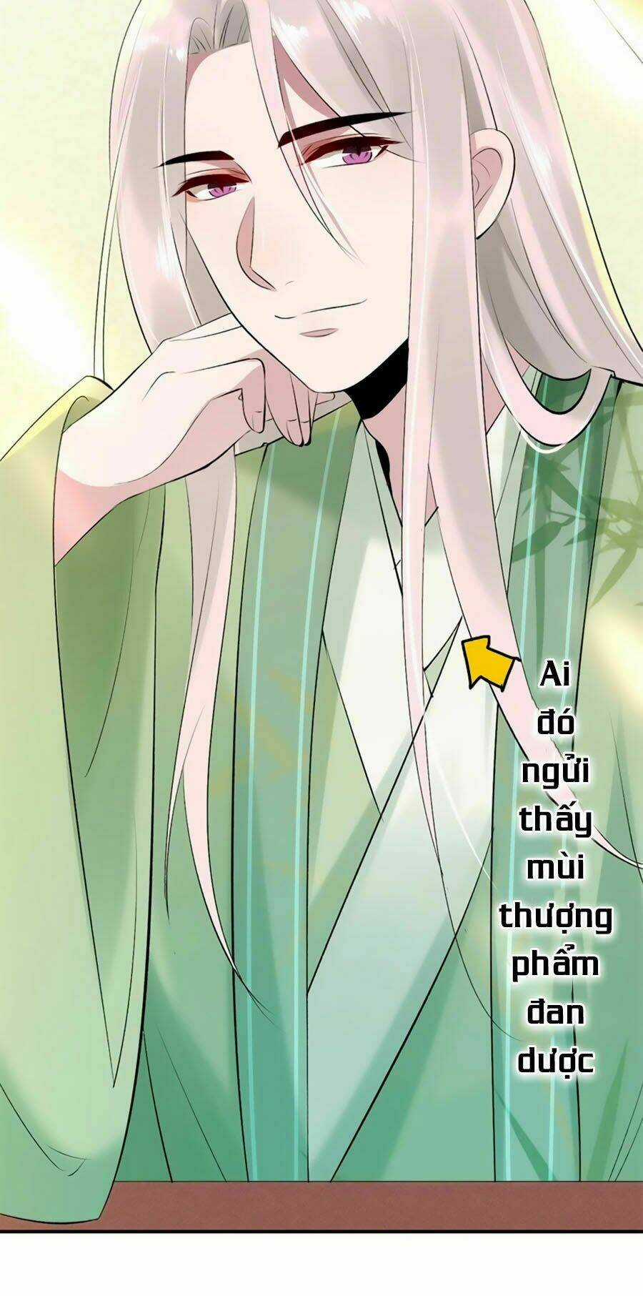 Tuyệt Thế Thần Y: Phúc Hắc Đại Tiểu Thư Chapter 18 trang 29