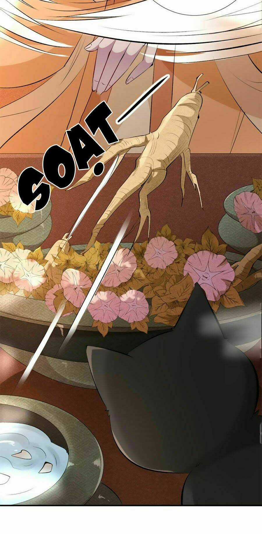 Tuyệt Thế Thần Y: Phúc Hắc Đại Tiểu Thư Chapter 18 trang 3