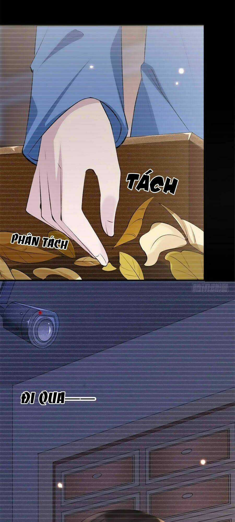 Tuyệt Thế Thần Y: Phúc Hắc Đại Tiểu Thư Chapter 18 trang 6