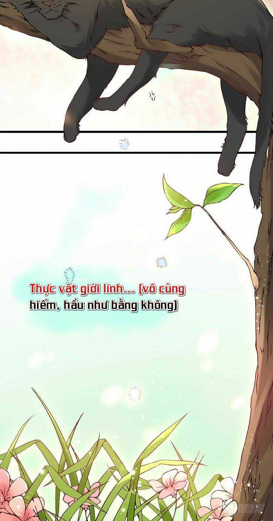 Tuyệt Thế Thần Y: Phúc Hắc Đại Tiểu Thư Chapter 2 trang 43