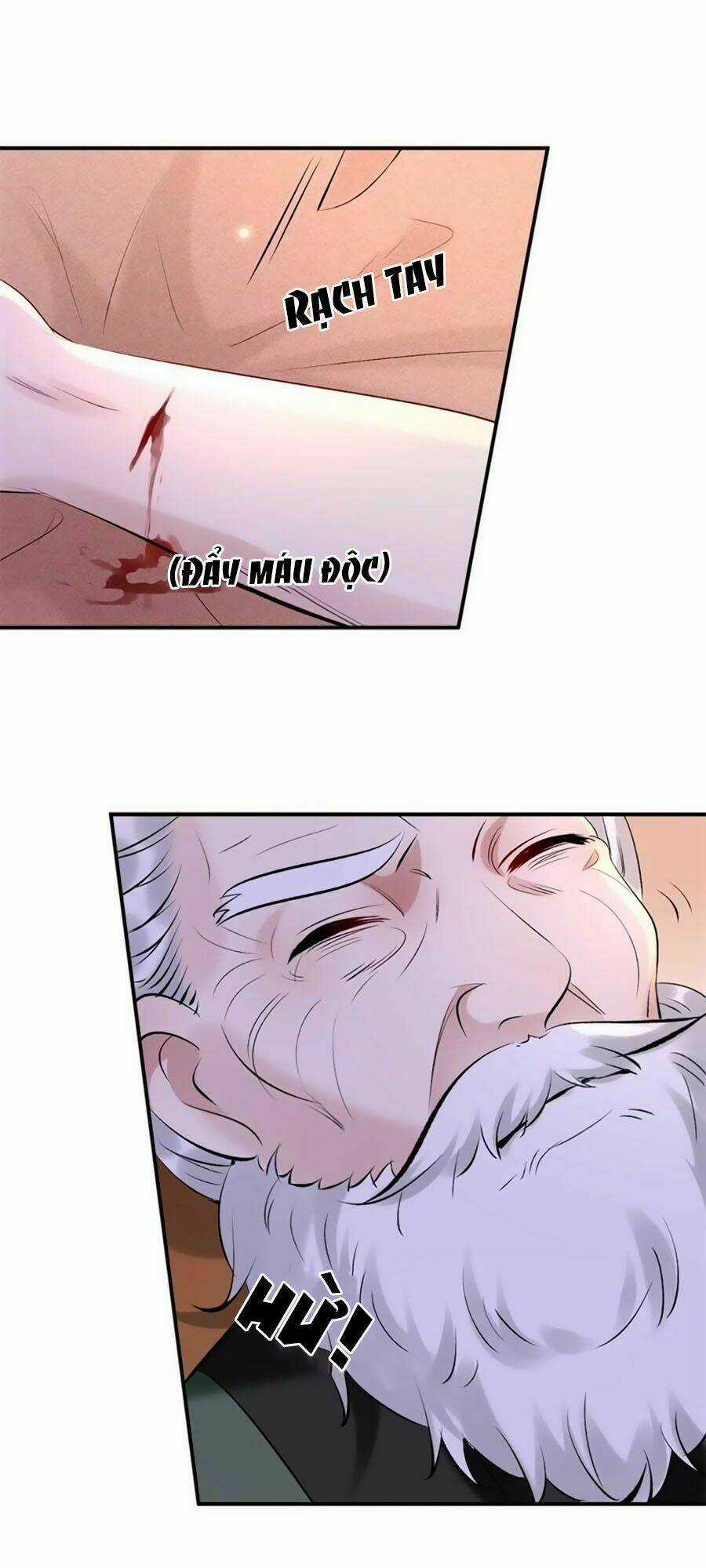 Tuyệt Thế Thần Y: Phúc Hắc Đại Tiểu Thư Chapter 26 trang 11