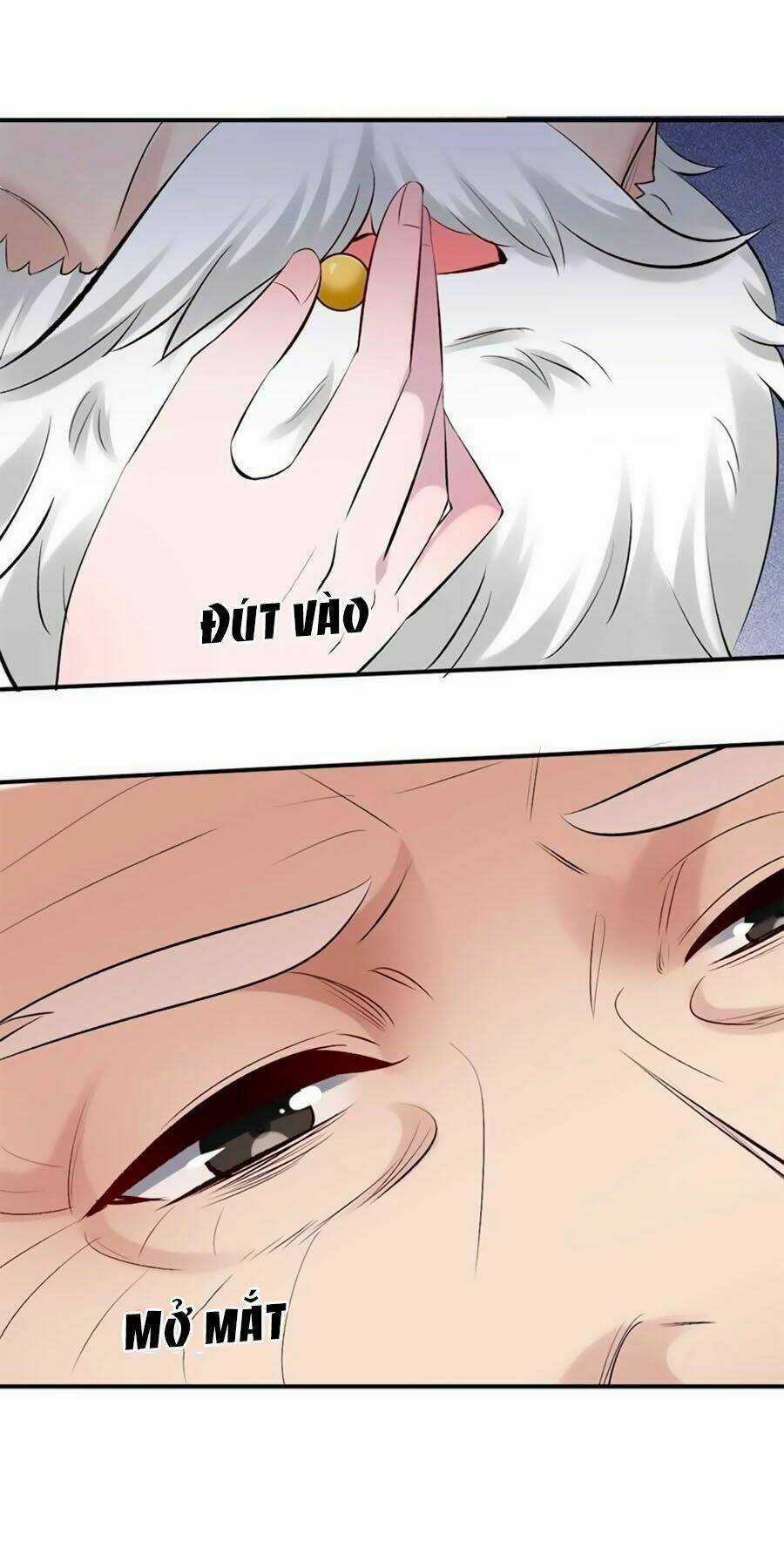 Tuyệt Thế Thần Y: Phúc Hắc Đại Tiểu Thư Chapter 26 trang 14