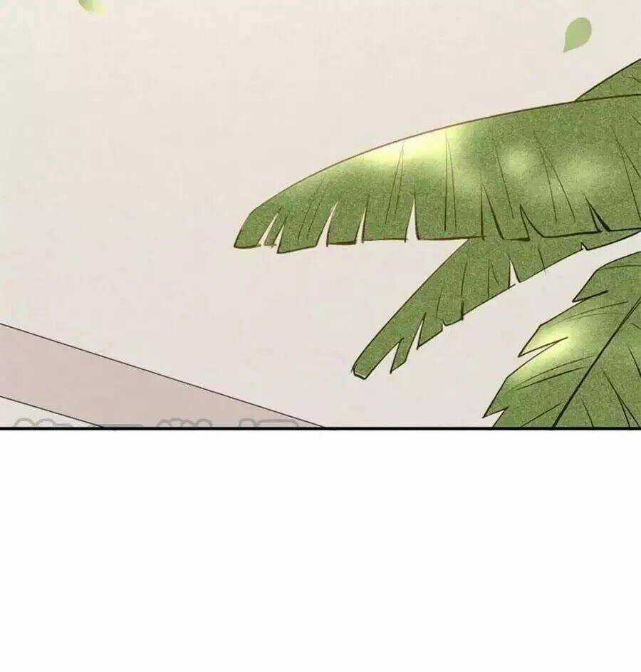 Tuyệt Thế Thần Y: Phúc Hắc Đại Tiểu Thư Chapter 29 trang 15