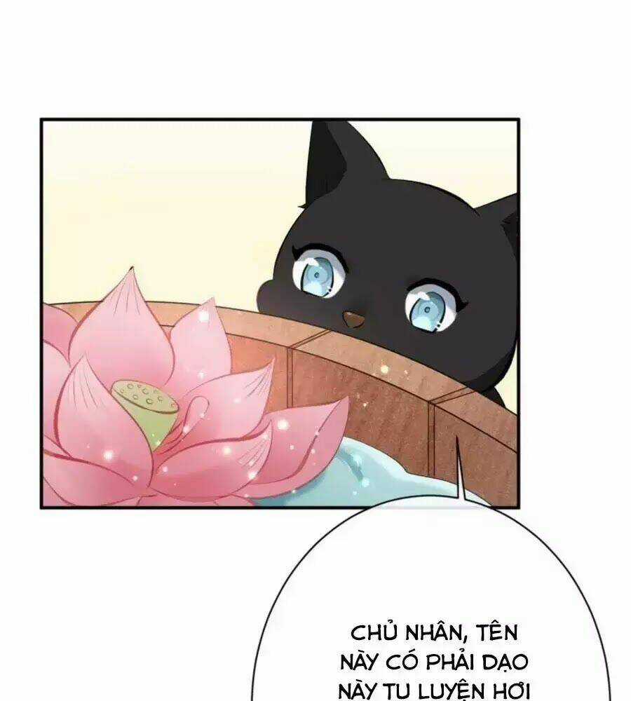 Tuyệt Thế Thần Y: Phúc Hắc Đại Tiểu Thư Chapter 29 trang 16