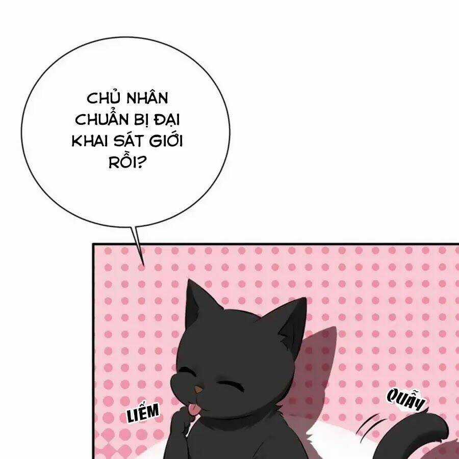 Tuyệt Thế Thần Y: Phúc Hắc Đại Tiểu Thư Chapter 29 trang 40