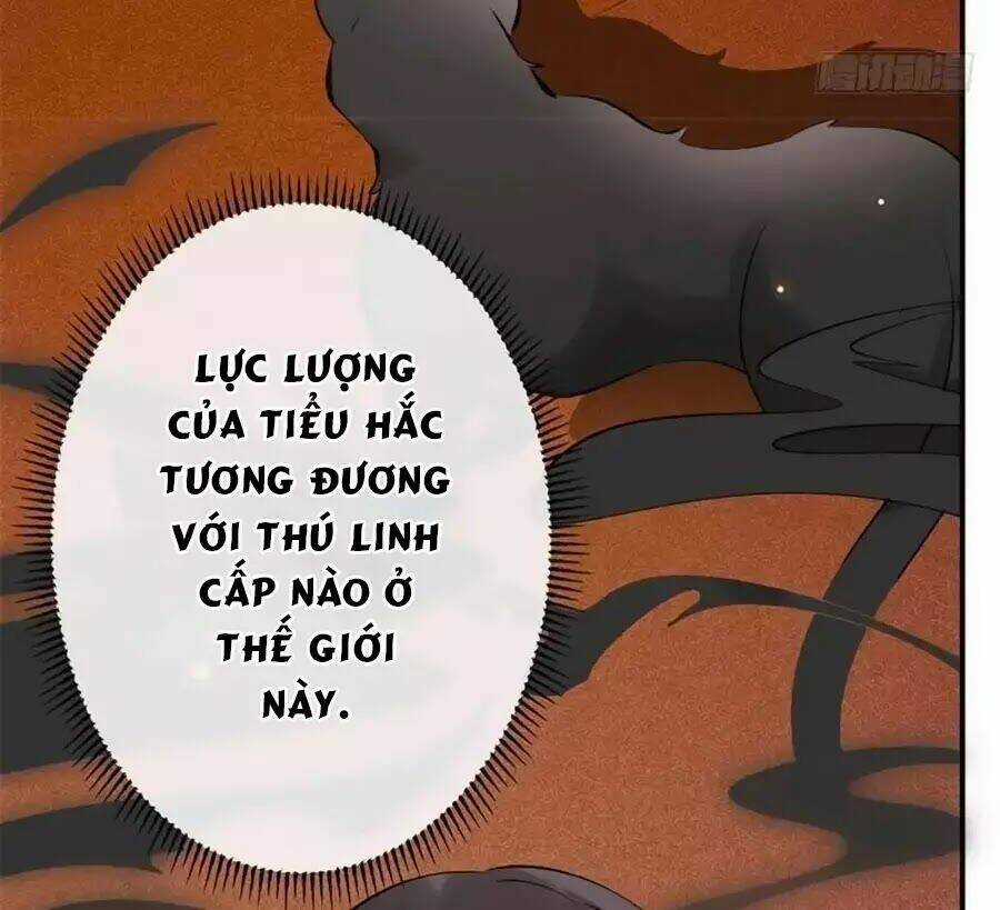 Tuyệt Thế Thần Y: Phúc Hắc Đại Tiểu Thư Chapter 31 trang 47