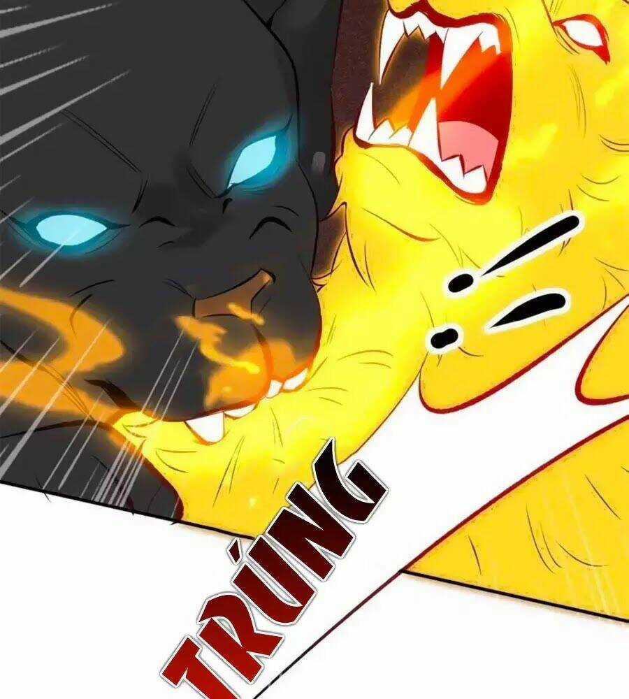 Tuyệt Thế Thần Y: Phúc Hắc Đại Tiểu Thư Chapter 31 trang 51