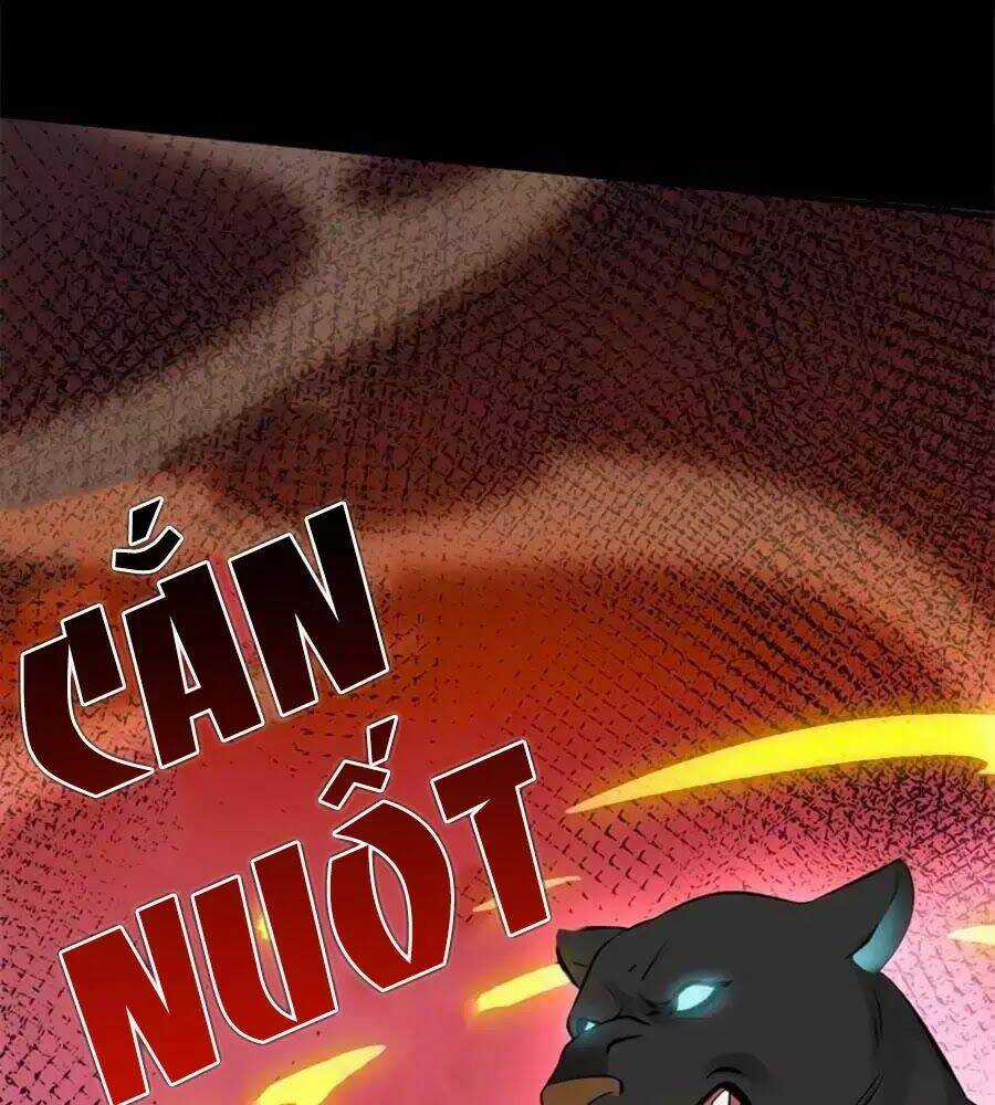 Tuyệt Thế Thần Y: Phúc Hắc Đại Tiểu Thư Chapter 31 trang 61