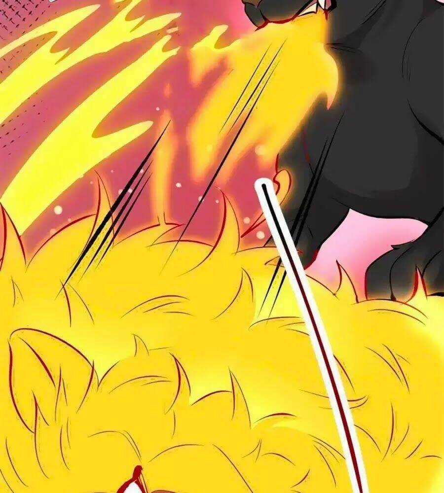 Tuyệt Thế Thần Y: Phúc Hắc Đại Tiểu Thư Chapter 31 trang 62