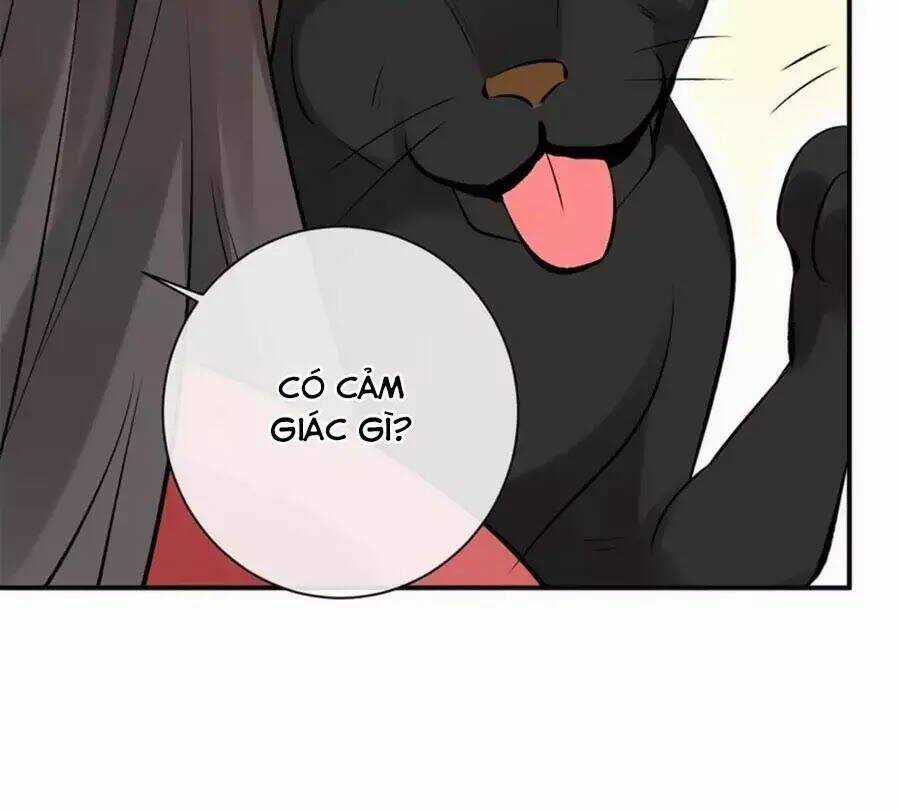 Tuyệt Thế Thần Y: Phúc Hắc Đại Tiểu Thư Chapter 31 trang 91