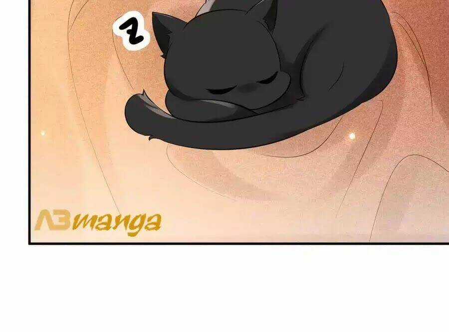 Tuyệt Thế Thần Y: Phúc Hắc Đại Tiểu Thư Chapter 32 trang 46