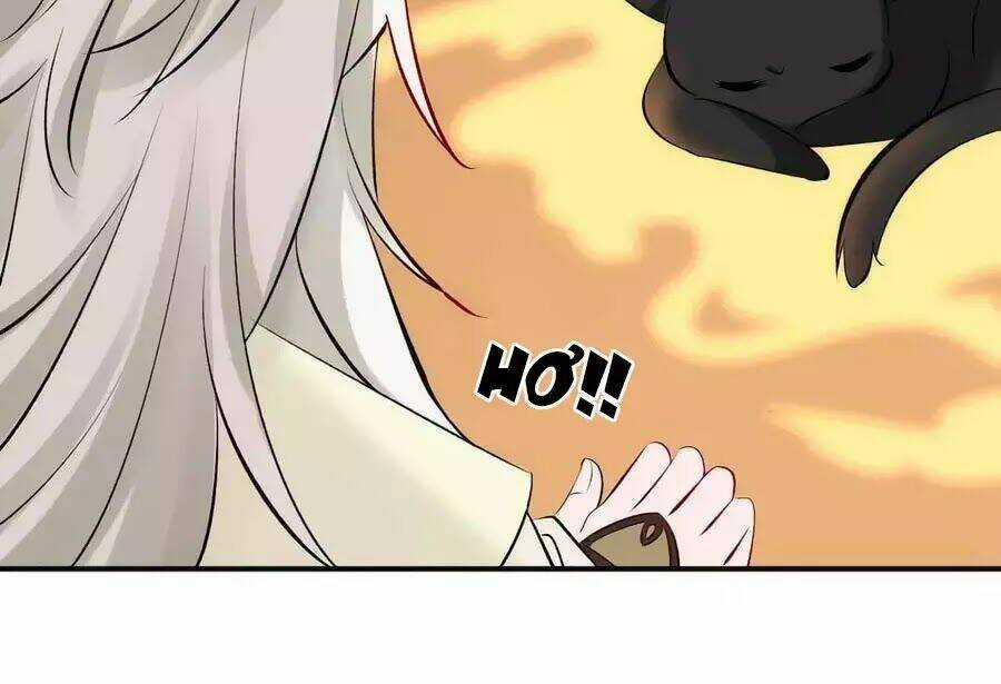 Tuyệt Thế Thần Y: Phúc Hắc Đại Tiểu Thư Chapter 32 trang 72