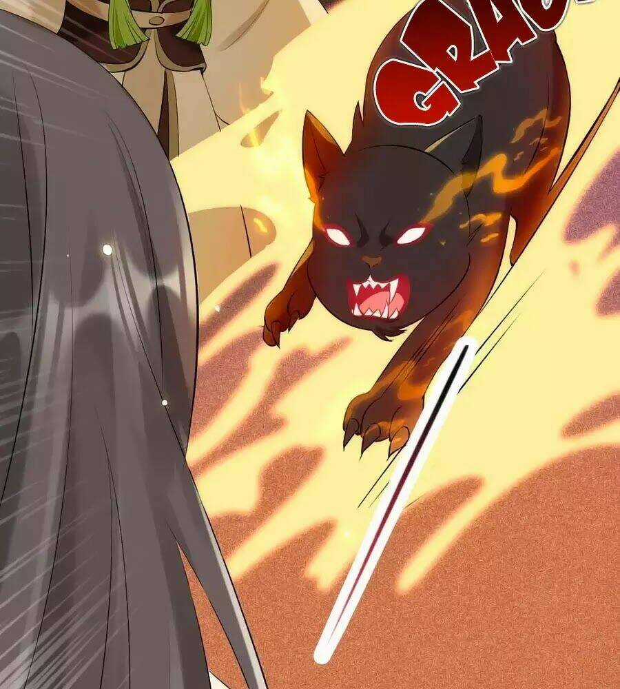 Tuyệt Thế Thần Y: Phúc Hắc Đại Tiểu Thư Chapter 32 trang 81