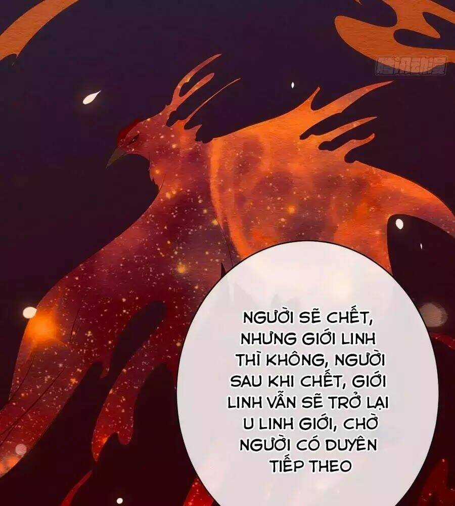 Tuyệt Thế Thần Y: Phúc Hắc Đại Tiểu Thư Chapter 33 trang 43