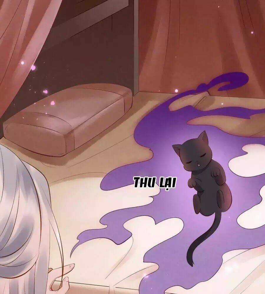 Tuyệt Thế Thần Y: Phúc Hắc Đại Tiểu Thư Chapter 33 trang 7