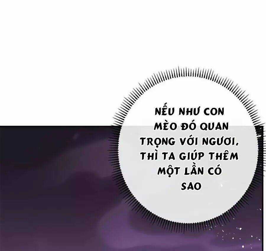 Tuyệt Thế Thần Y: Phúc Hắc Đại Tiểu Thư Chapter 34 trang 43