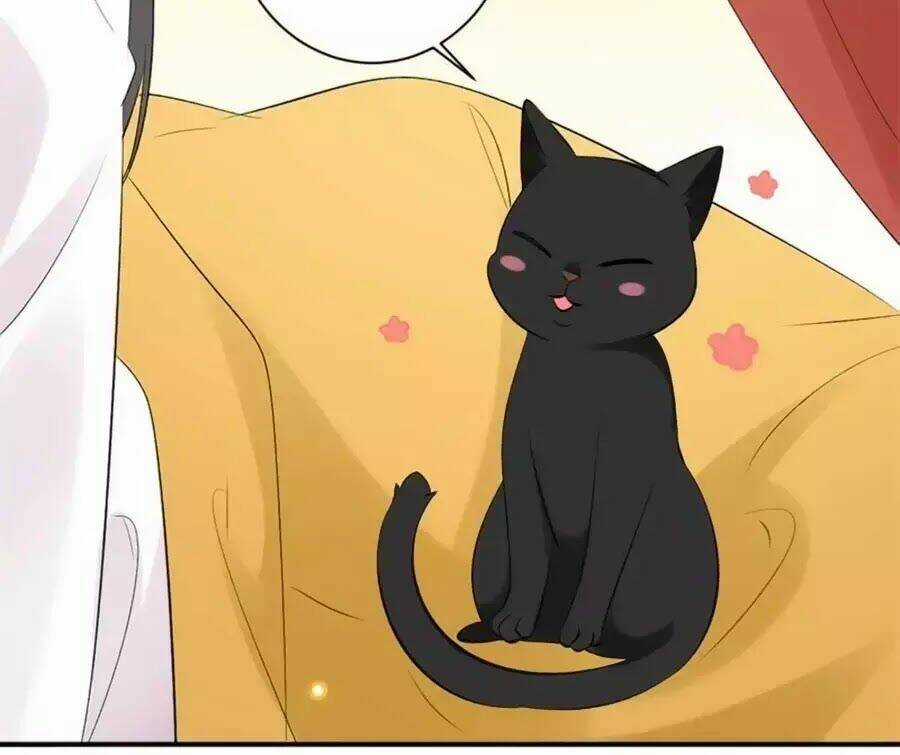 Tuyệt Thế Thần Y: Phúc Hắc Đại Tiểu Thư Chapter 34 trang 61