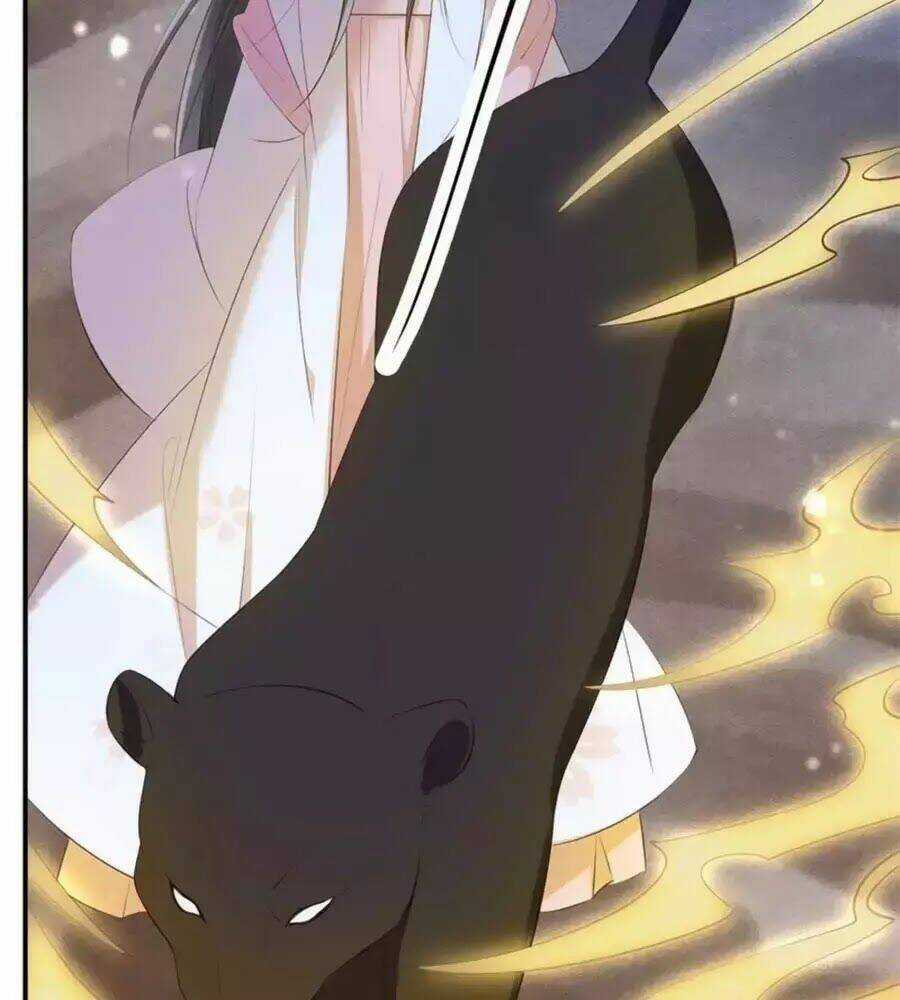 Tuyệt Thế Thần Y: Phúc Hắc Đại Tiểu Thư Chapter 39 trang 18