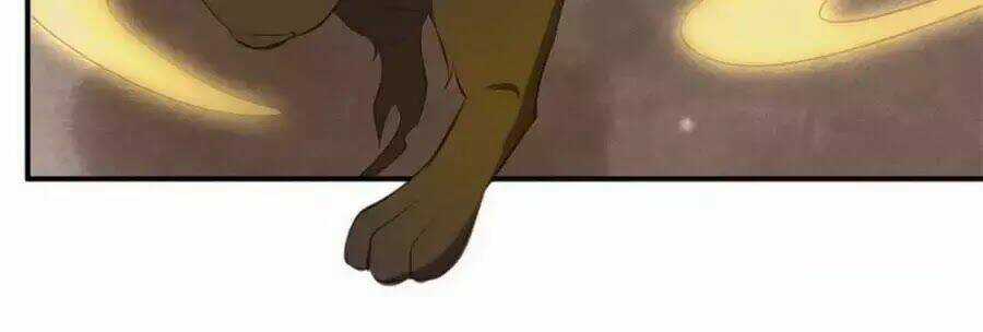 Tuyệt Thế Thần Y: Phúc Hắc Đại Tiểu Thư Chapter 39 trang 19