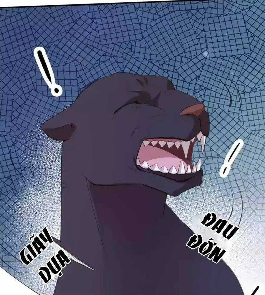 Tuyệt Thế Thần Y: Phúc Hắc Đại Tiểu Thư Chapter 39 trang 98