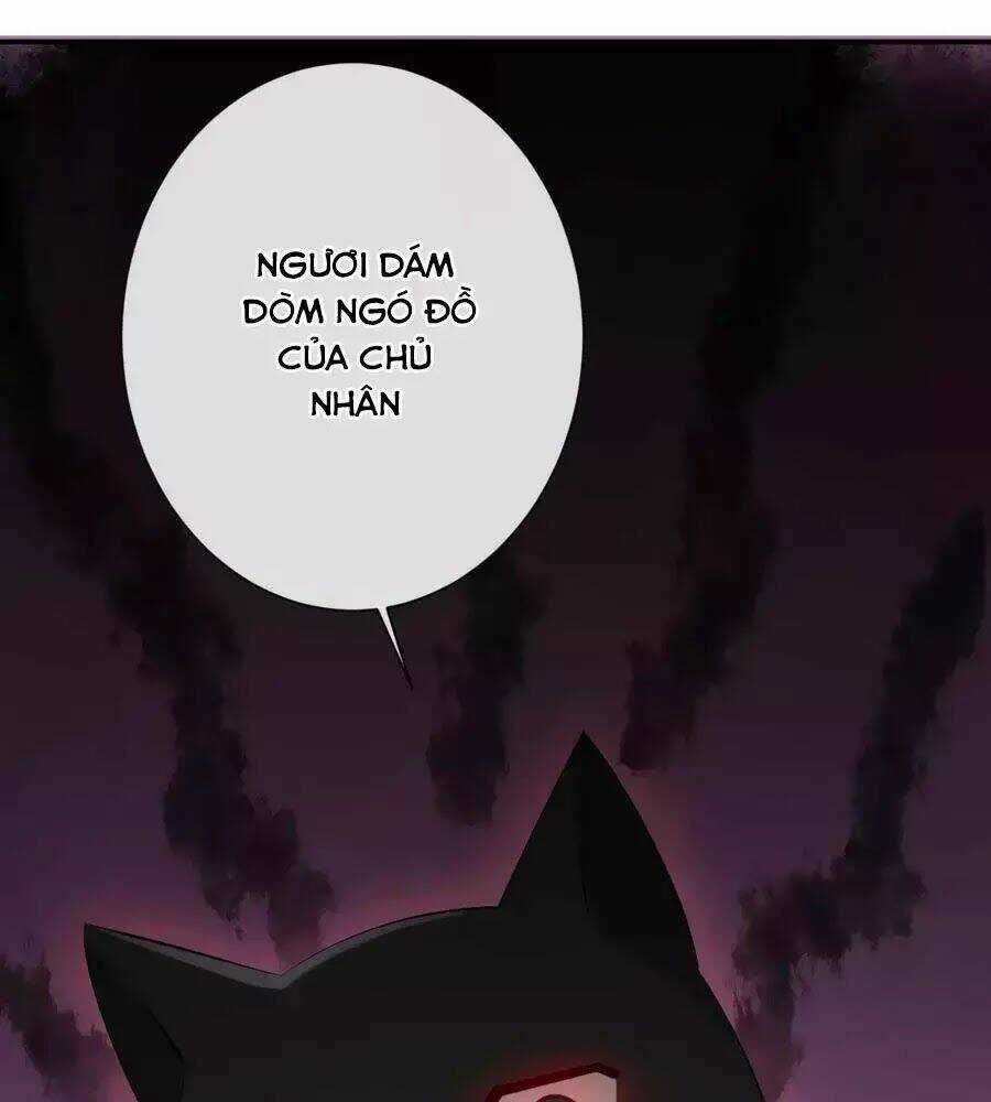 Tuyệt Thế Thần Y: Phúc Hắc Đại Tiểu Thư Chapter 40 trang 9