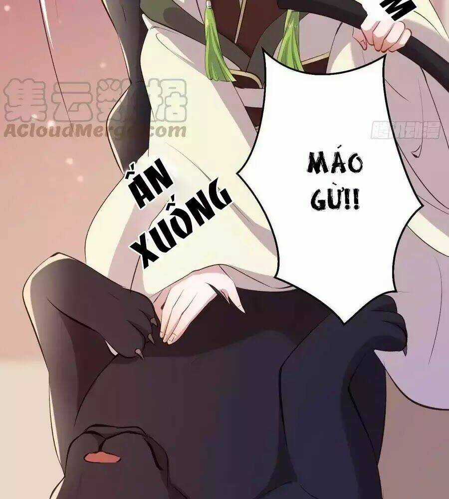 Tuyệt Thế Thần Y: Phúc Hắc Đại Tiểu Thư Chapter 41 trang 84