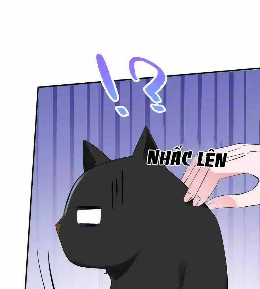 Tuyệt Thế Thần Y: Phúc Hắc Đại Tiểu Thư Chapter 42 trang 41