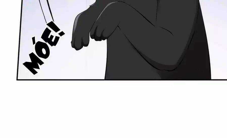 Tuyệt Thế Thần Y: Phúc Hắc Đại Tiểu Thư Chapter 42 trang 42