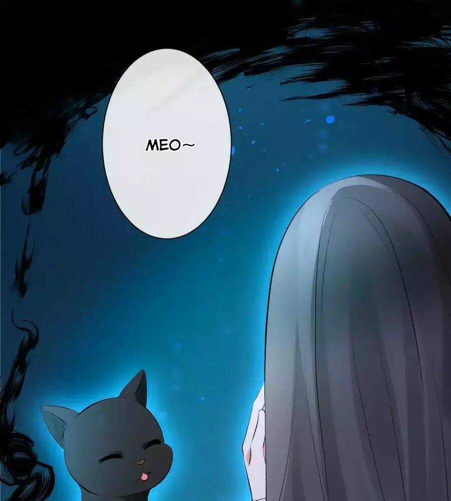 Tuyệt Thế Thần Y: Phúc Hắc Đại Tiểu Thư Chapter 44 trang 51