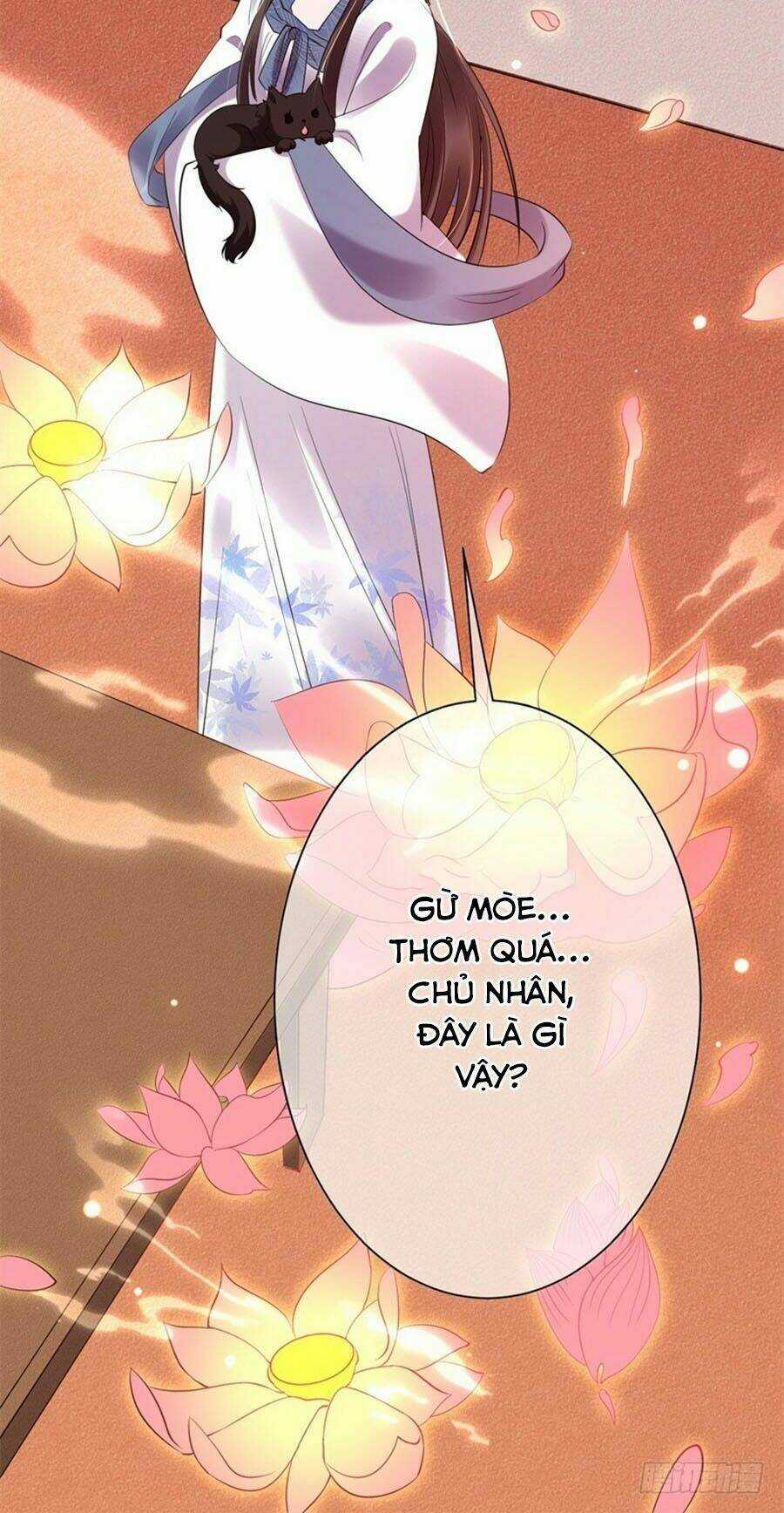 Tuyệt Thế Thần Y: Phúc Hắc Đại Tiểu Thư Chapter 5 trang 29