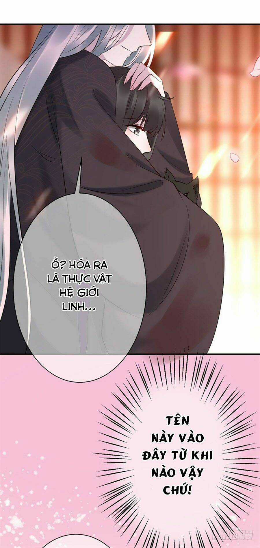 Tuyệt Thế Thần Y: Phúc Hắc Đại Tiểu Thư Chapter 5 trang 31