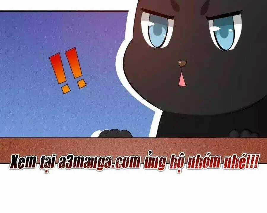 Tuyệt Thế Thần Y: Phúc Hắc Đại Tiểu Thư Chapter 50 trang 87