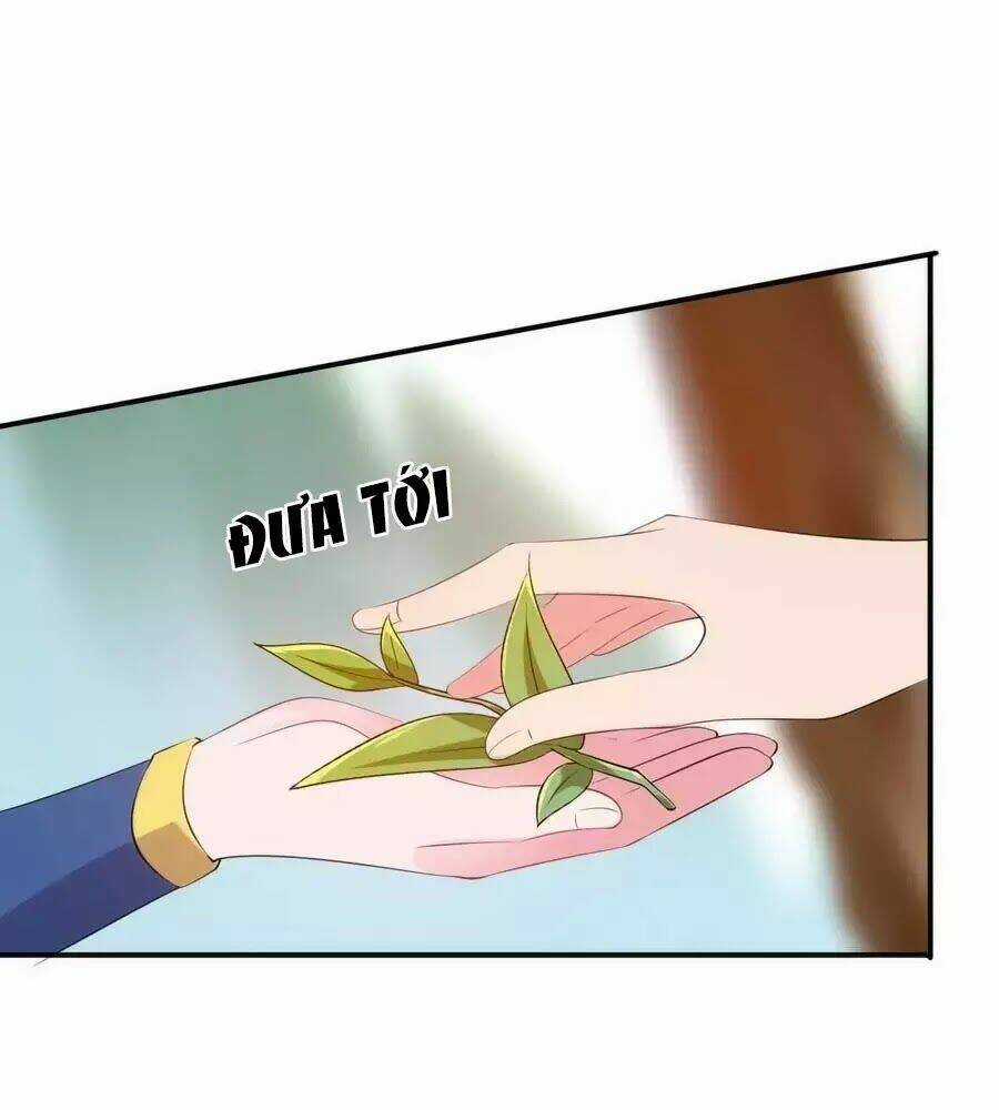 Tuyệt Thế Thần Y: Phúc Hắc Đại Tiểu Thư Chapter 54 trang 44