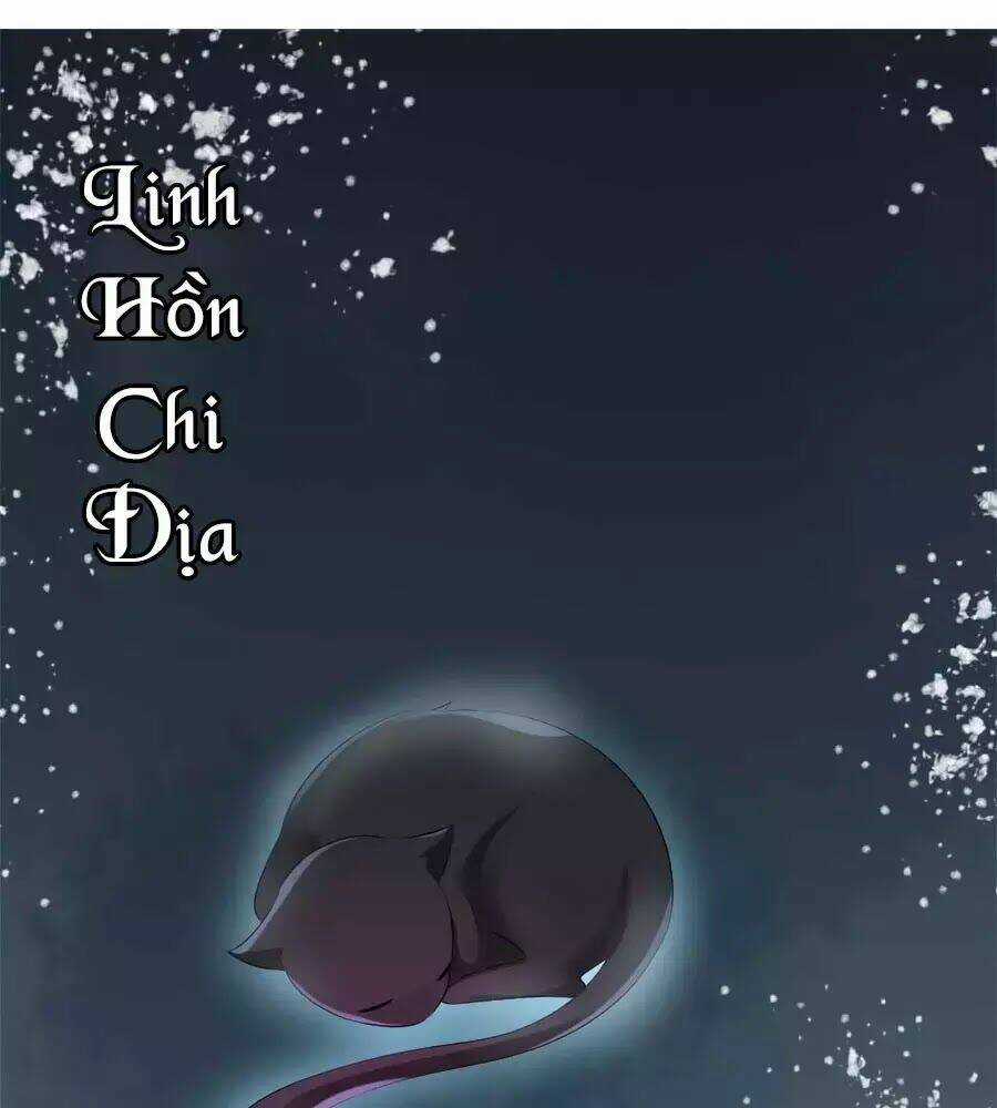 Tuyệt Thế Thần Y: Phúc Hắc Đại Tiểu Thư Chapter 57 trang 16