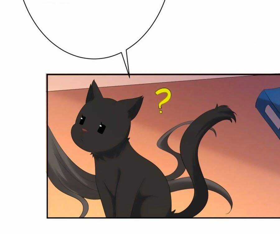 Tuyệt Thế Thần Y: Phúc Hắc Đại Tiểu Thư Chapter 6 trang 18