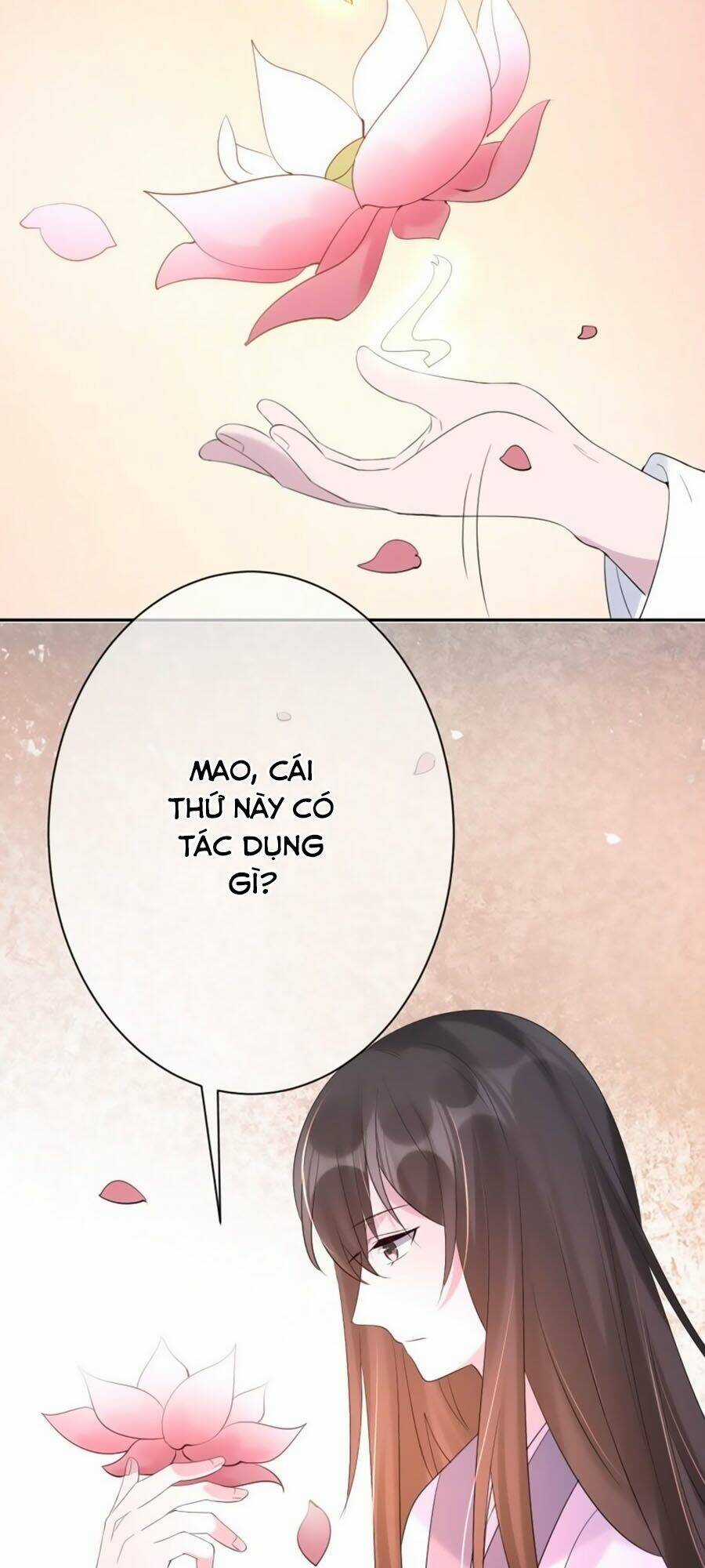 Tuyệt Thế Thần Y: Phúc Hắc Đại Tiểu Thư Chapter 6 trang 28