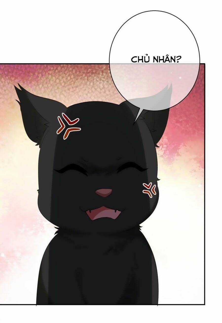 Tuyệt Thế Thần Y: Phúc Hắc Đại Tiểu Thư Chapter 6 trang 40