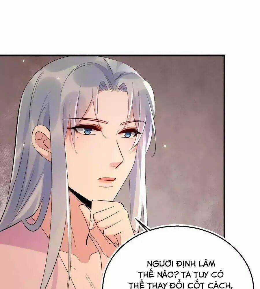 Tuyệt Thế Thần Y: Phúc Hắc Đại Tiểu Thư Chapter 62 trang 3