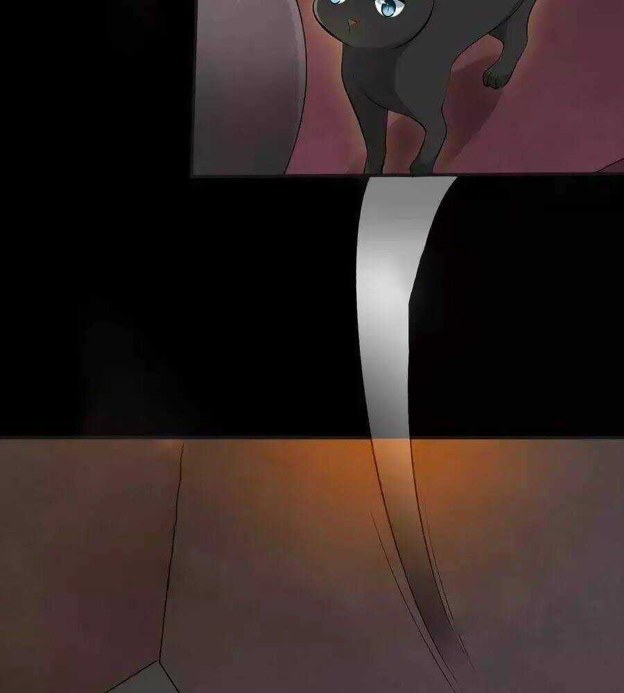 Tuyệt Thế Thần Y: Phúc Hắc Đại Tiểu Thư Chapter 63 trang 47