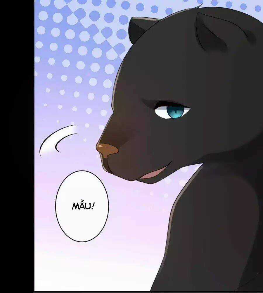 Tuyệt Thế Thần Y: Phúc Hắc Đại Tiểu Thư Chapter 64 trang 12