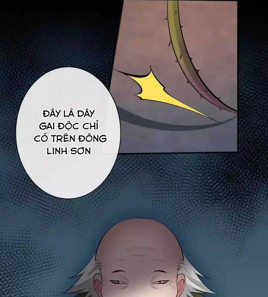 Tuyệt Thế Thần Y: Phúc Hắc Đại Tiểu Thư Chapter 64 trang 47