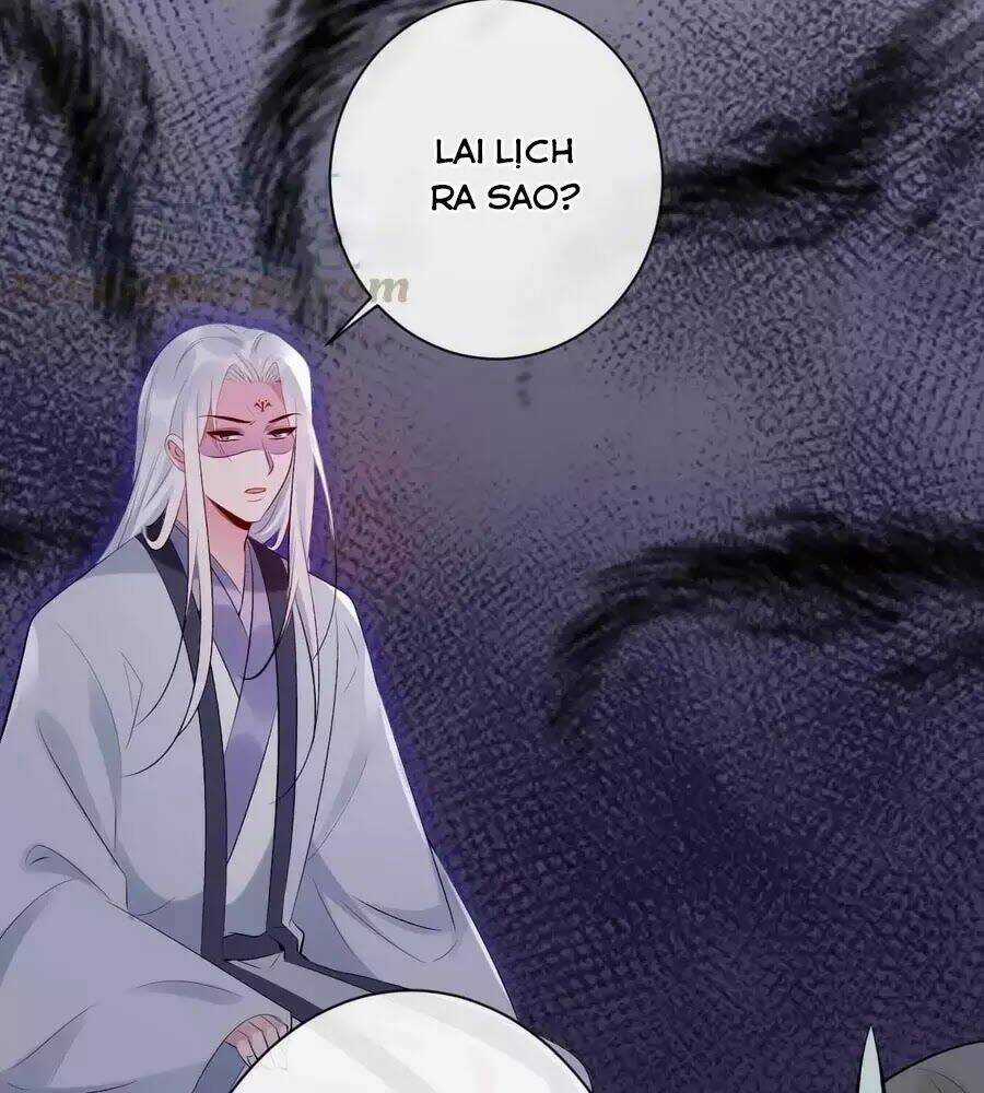 Tuyệt Thế Thần Y: Phúc Hắc Đại Tiểu Thư Chapter 65 trang 11