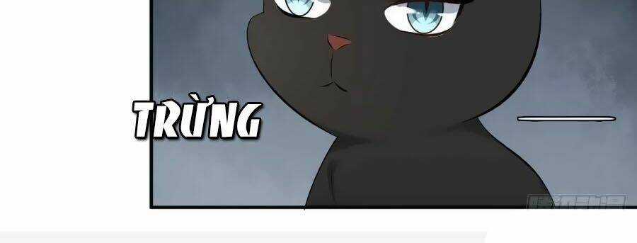 Tuyệt Thế Thần Y: Phúc Hắc Đại Tiểu Thư Chapter 71 trang 13