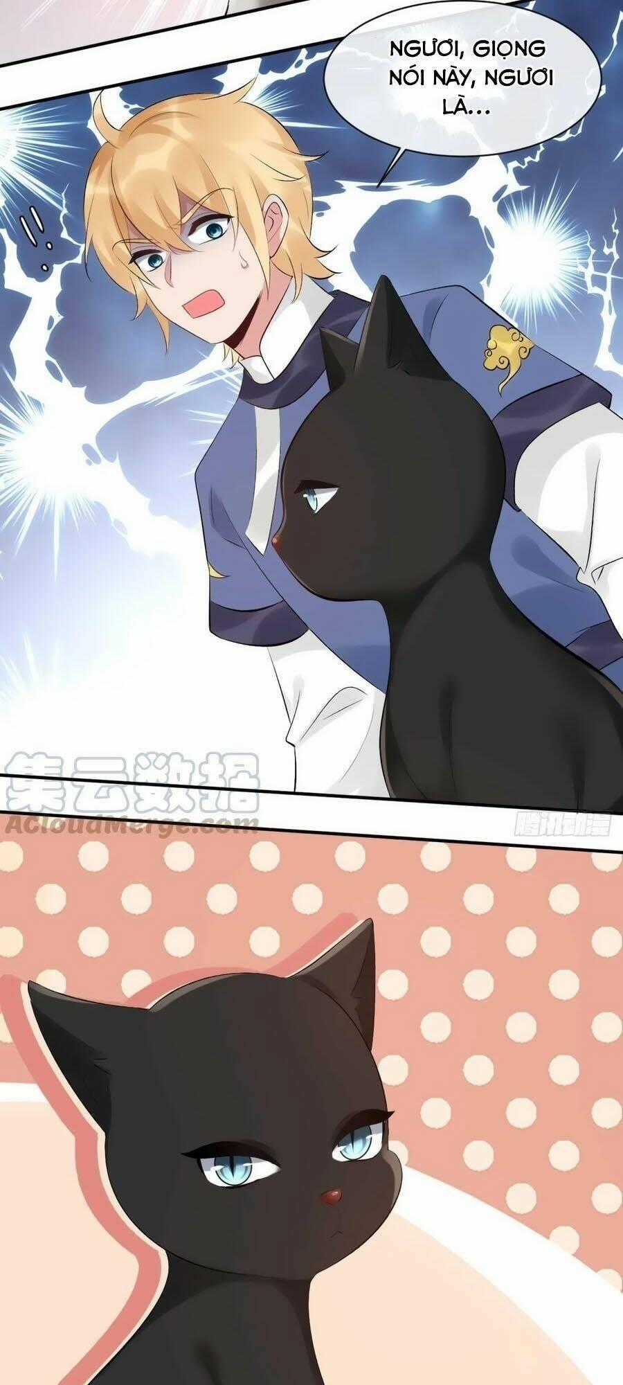 Tuyệt Thế Thần Y: Phúc Hắc Đại Tiểu Thư Chapter 71 trang 29