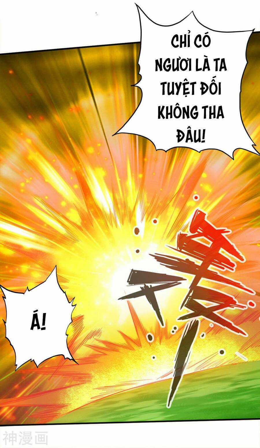 Tuyệt Thế Võ Công Chapter 118 trang 29