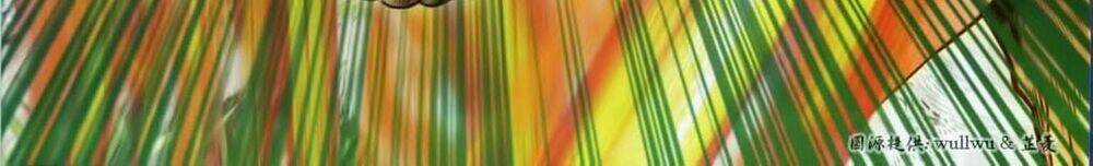 Tuyệt Thế Vô Song 2 Chapter 43 trang 5