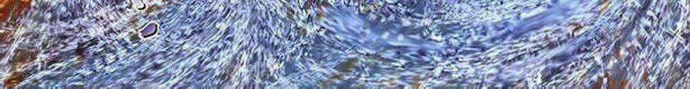 Tuyệt Thế Vô Song 2 Chapter 47 trang 3